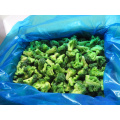 Floretes de brócolis congelados IQF origem chinesa